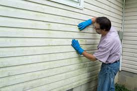 Best Vinyl Siding Installation  in Gilbert, MN